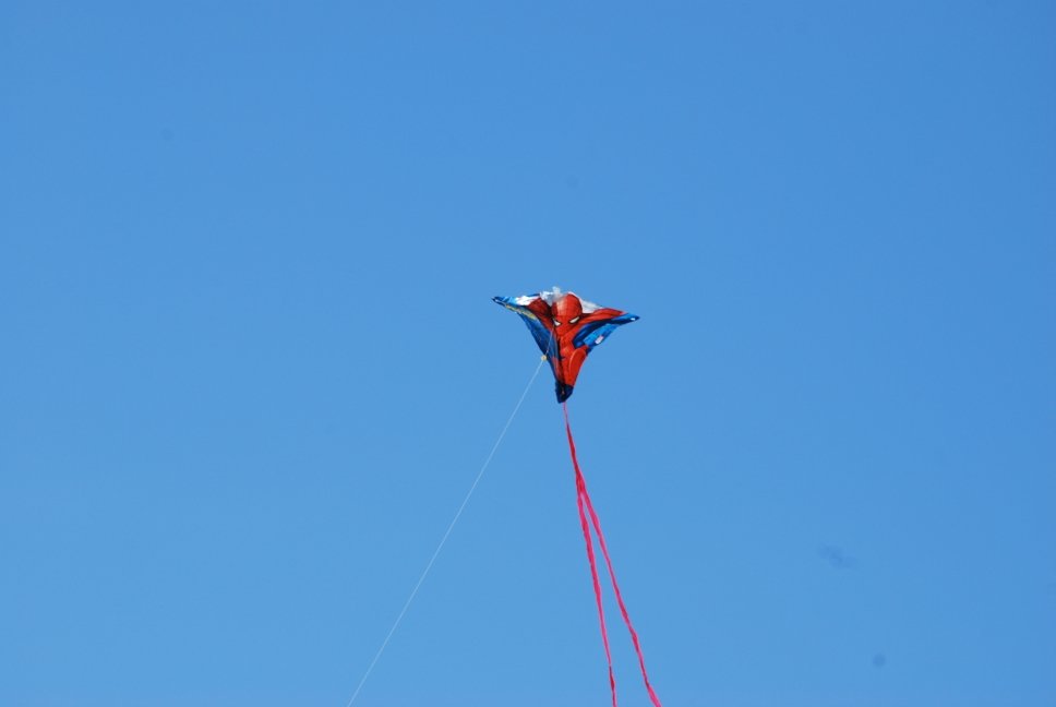 kite.jpg