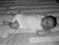 bed_bwbetter2.jpg (49304 bytes)