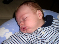 ben_boppeeclose.jpg (390481 bytes)