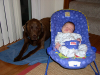 ben_chief.jpg (412433 bytes)