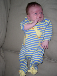 ben_couch3.jpg (247032 bytes)