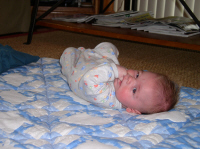 ben_rollfinal.jpg (1570185 bytes)