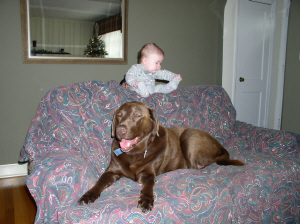 ben_xmas5.jpg (230008 bytes)