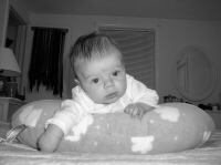 ben_bedclose_droolBW.jpg (1003524 bytes)