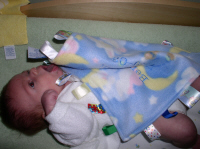 taggie.jpg (1659190 bytes)