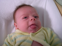 tounge.jpg (1553875 bytes)