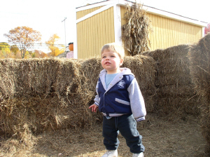 ptown_maze2.jpg (250221 bytes)