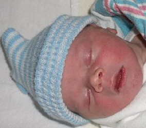 ryan1_face.JPG (83460 bytes)