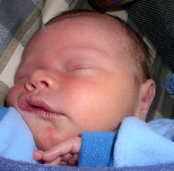 ryan_closeface_face.JPG (110251 bytes)