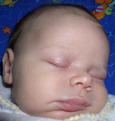 ryan_face_close_face.JPG (116403 bytes)